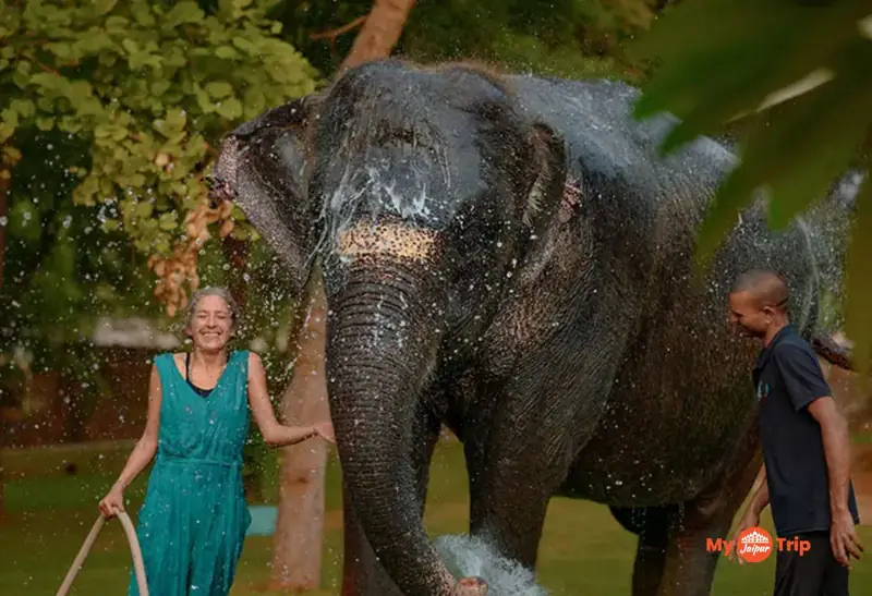 Elephant Village Experience