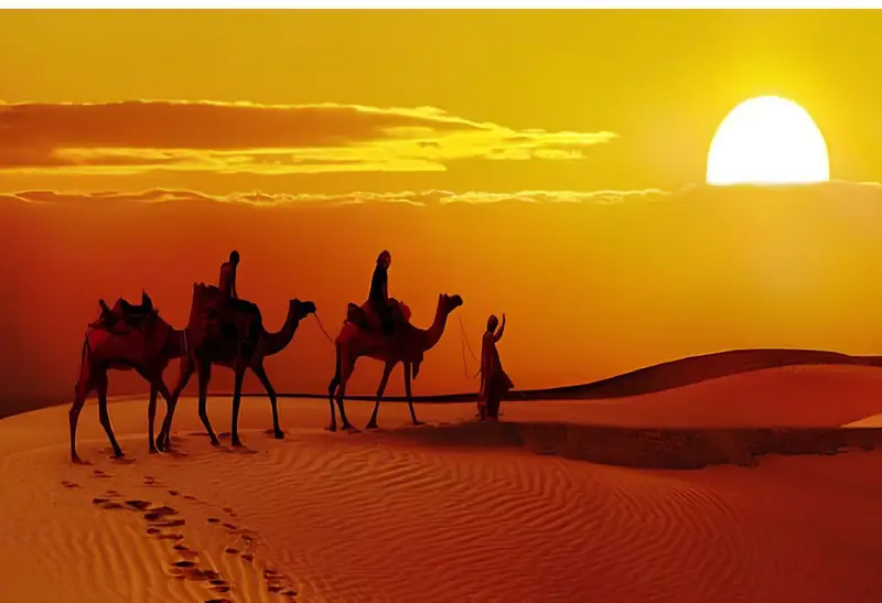 Sam Dunes Safari Evening